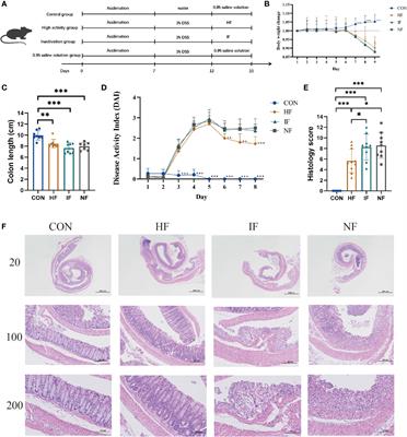 Shifts and importance of viable bacteria in treatment of DSS-induced ulcerative colitis mice with FMT